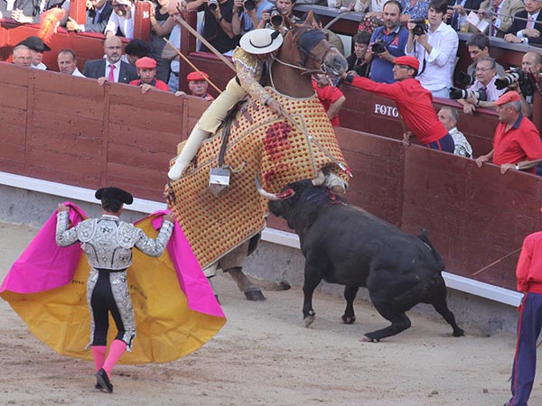 La pelea en el peto