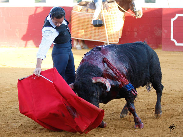 Ceido... y torero