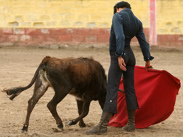 Acariciando la embestida