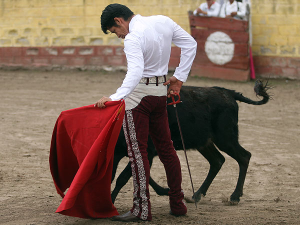 Maestra y reposo