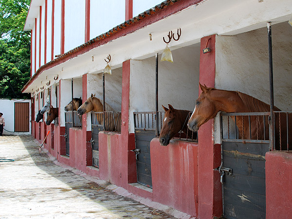 Caballerizas