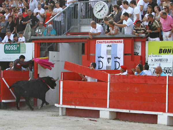 De nuevo a los potreros