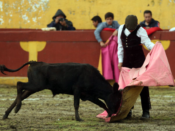 Manolo Martinez