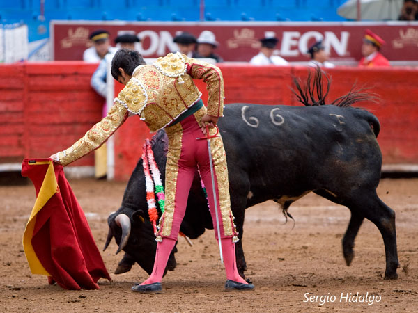 Metido en la muleta