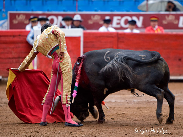 Templando la embestida