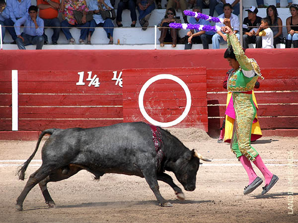 Ms voluntad que lucimiento