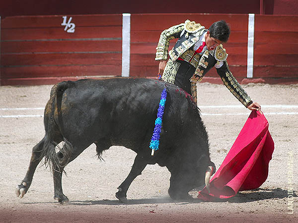 Reposo en los naturales