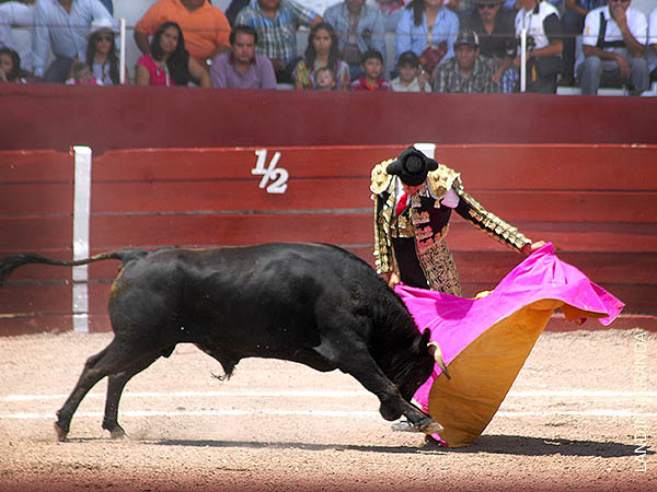 Vernicas de Rosales