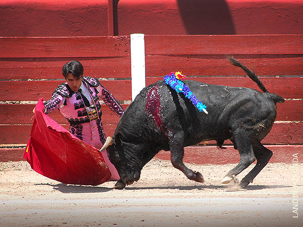 De hinojos