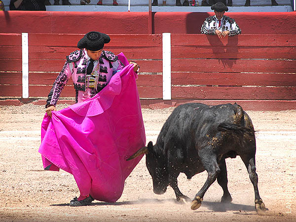 El saludo de Alejandro Lpez