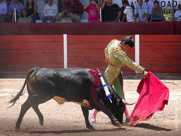 Abrochando la tanda