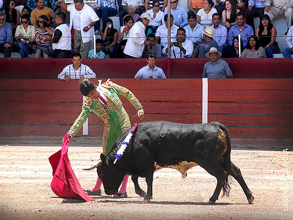 Faena en los medios