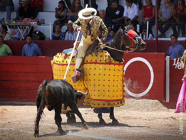 La vara de Curro Campos