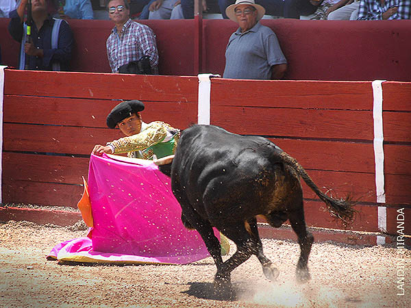 Debut de Antonio Hernndez