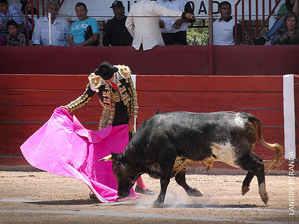 Barbilla en el pecho