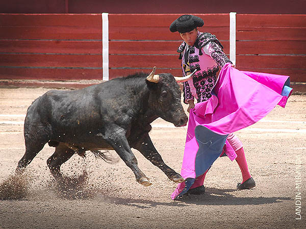 Alejandro, primer espada