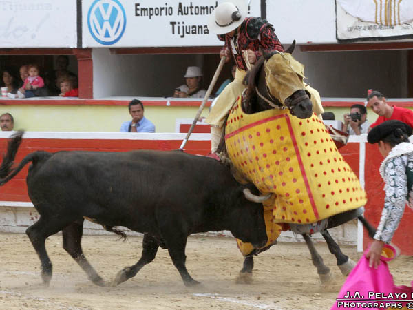 La pelea en el peto