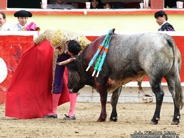 Desplante torero