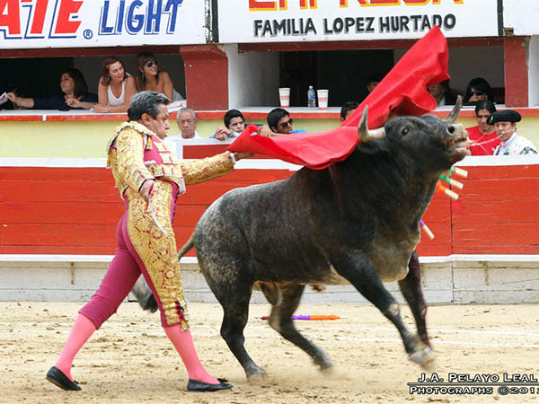 Barriendo los lomos