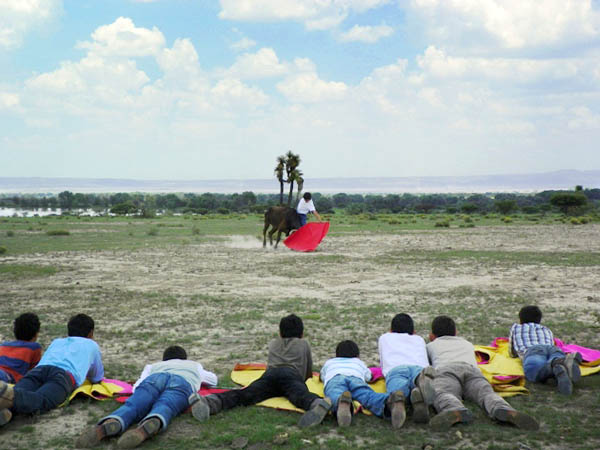 El gusto de torear en el campo