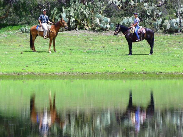 Reflejos en el agua