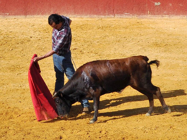 Abrochando