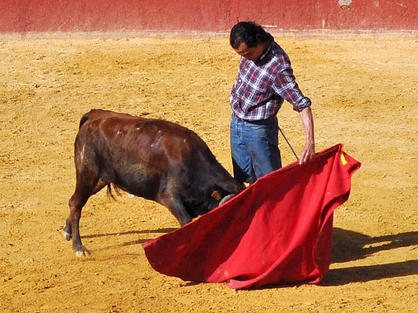 Metido en la muleta