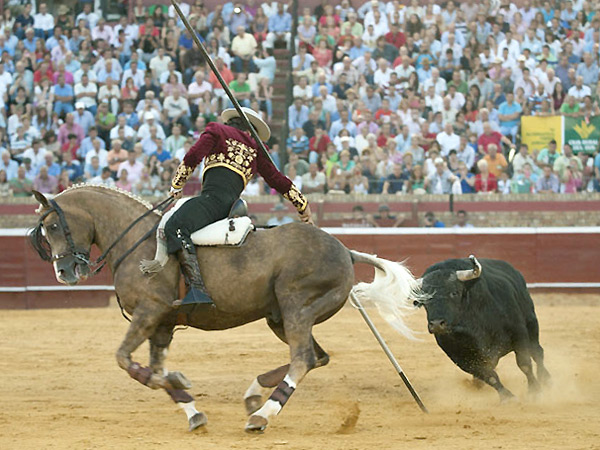 Con la garrocha, detalle campero