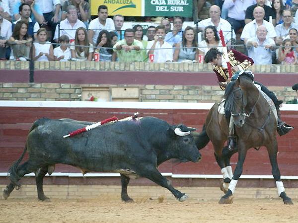 De costado, ante el Miura