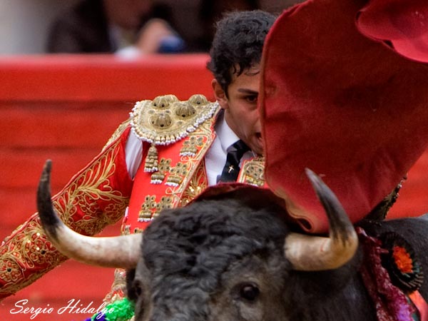 Gallardo, no pudo refrendar