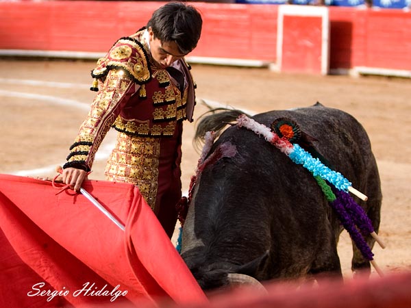 Metido en tablas