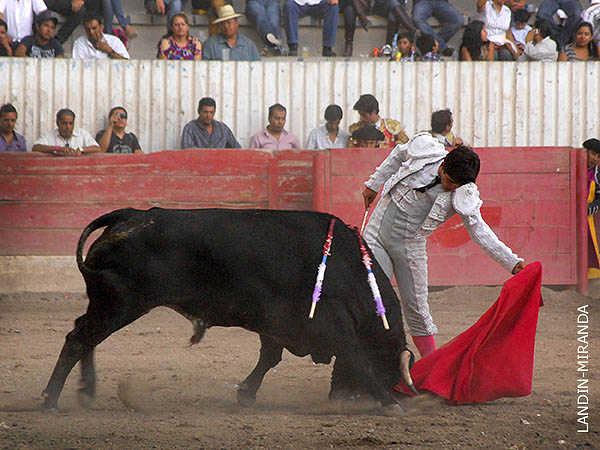 Humillado en la embestida