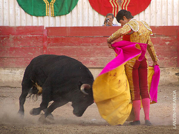 Chicuelinas potosinas