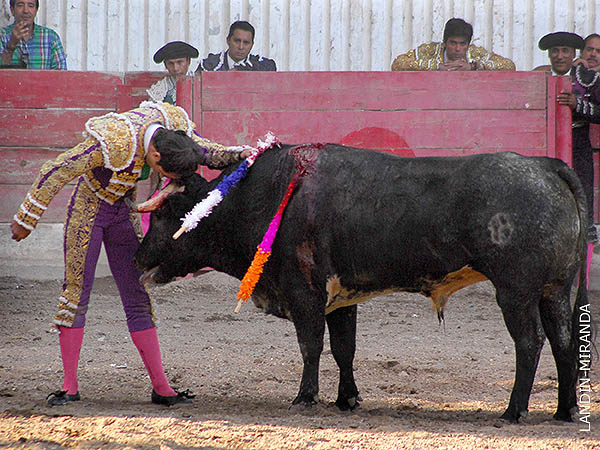 Frente con frente