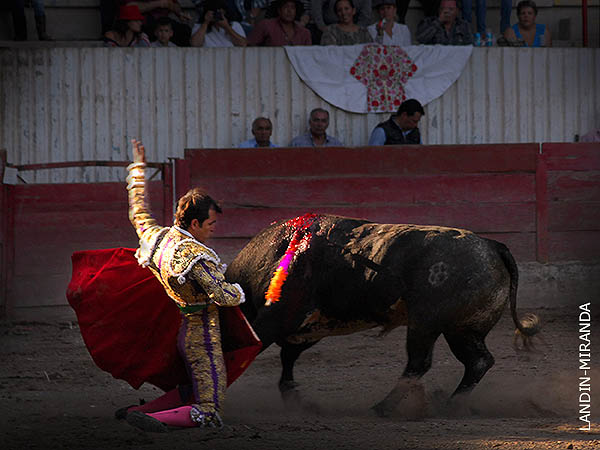 Vibrante con la muleta