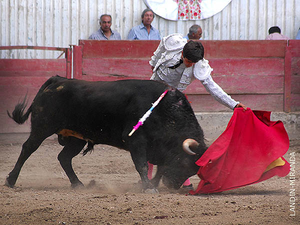 Corri la mano por el izquierdo