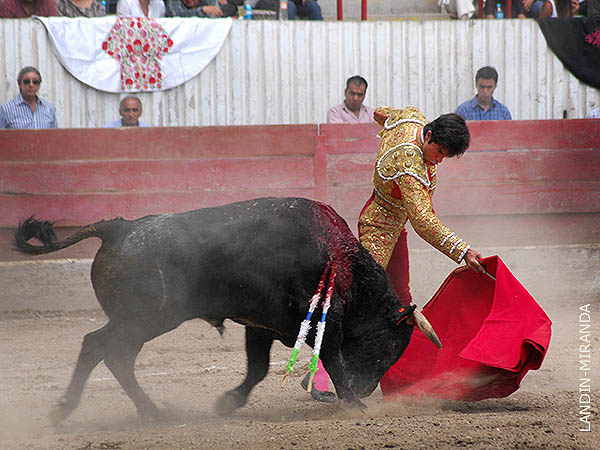 Abrochando la tanda