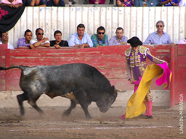 Macas abre la corrida de Feria