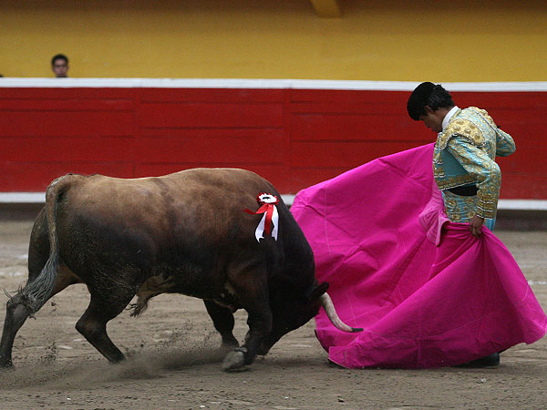 Angelino de Arriaga en la brega