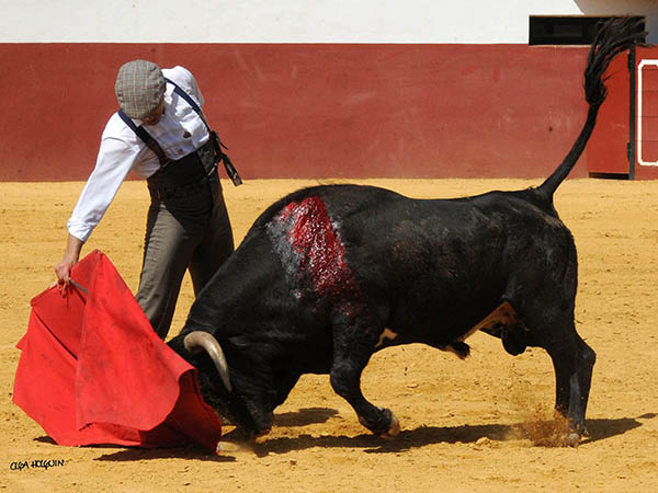 Vicente, por el derecho