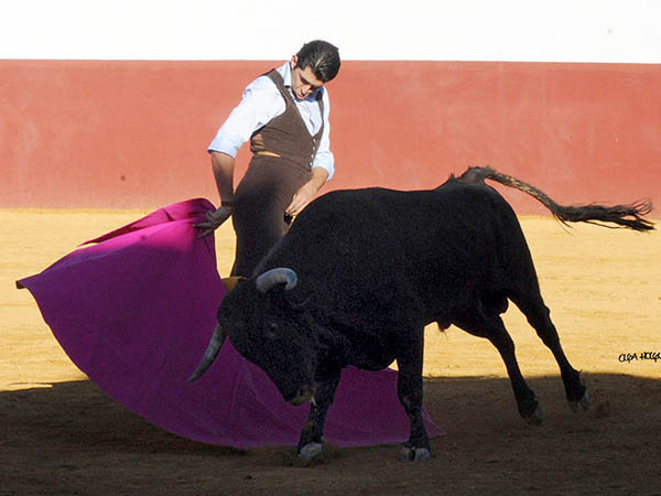 La media de Rogelio