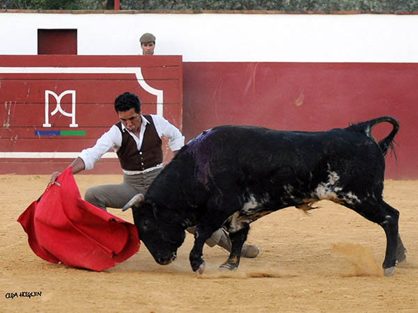 Primeros pases al ejemplar