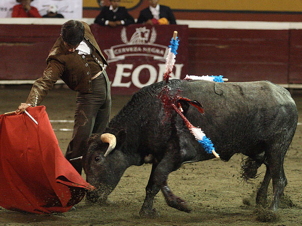 Torero con sello