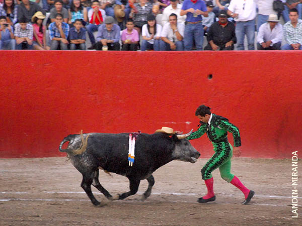 Le puso el sombrero al toro