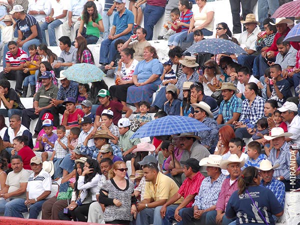 El tendido soleado