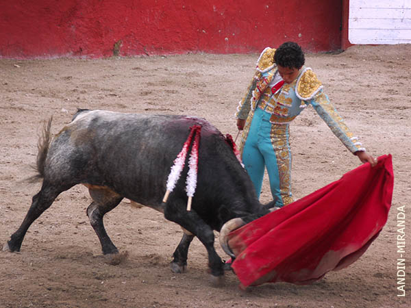 Metido en la canasta