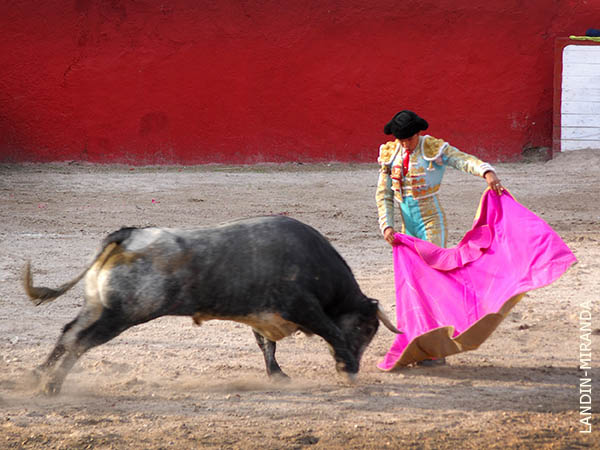 Chicuelina en primer tiempo