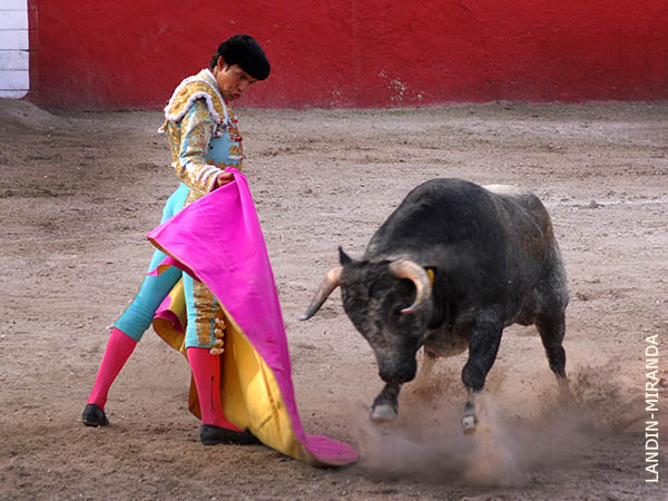 Saludo capotero