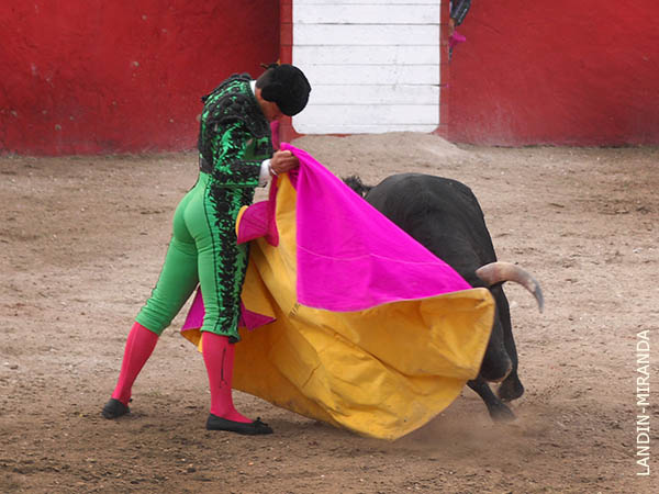 La barbilla en el pecho