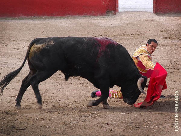 Rodilla en tierra